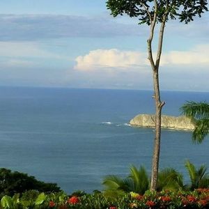 Meet your Posher, Bryan